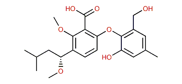 6-[2-Hydroxy-6-(hydroxymethyl)-4-methylphenoxy]-2-methoxy-3-[(1S)-1-methoxy-3-methylbutyl]benzoic acid